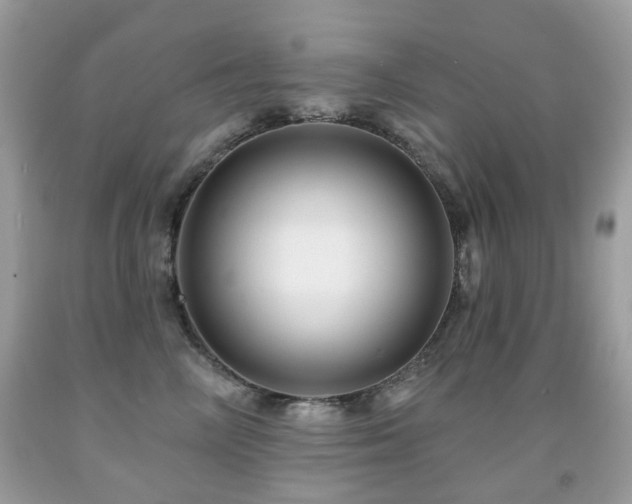X0000091950714200709061240
