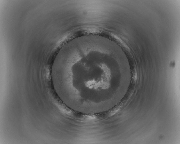 X0000091950715200709061240
