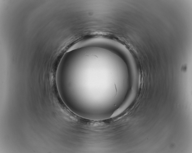 X0000091950716200709061240