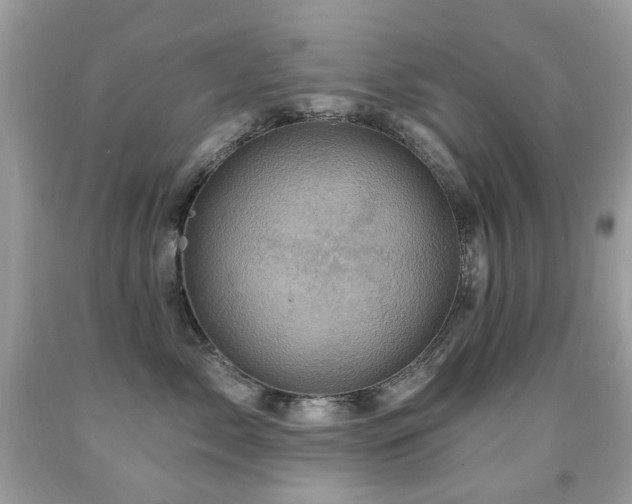 X0000091950717200709061240