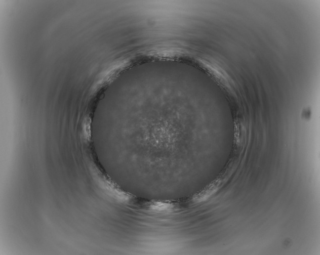 X0000091950718200709061240