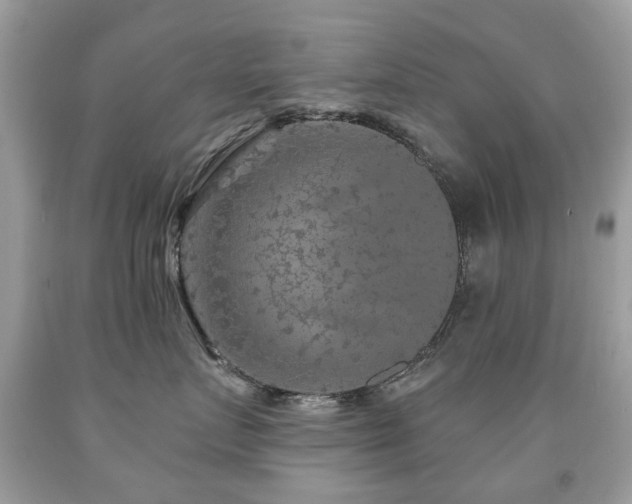 X0000091950719200709061240