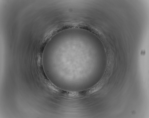 X0000091950720200709061240