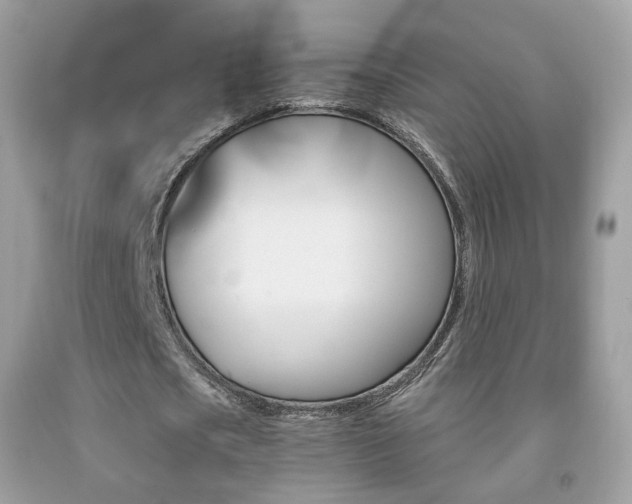 X0000091950721200709061239