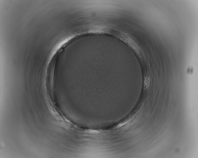 X0000091950724200709061239