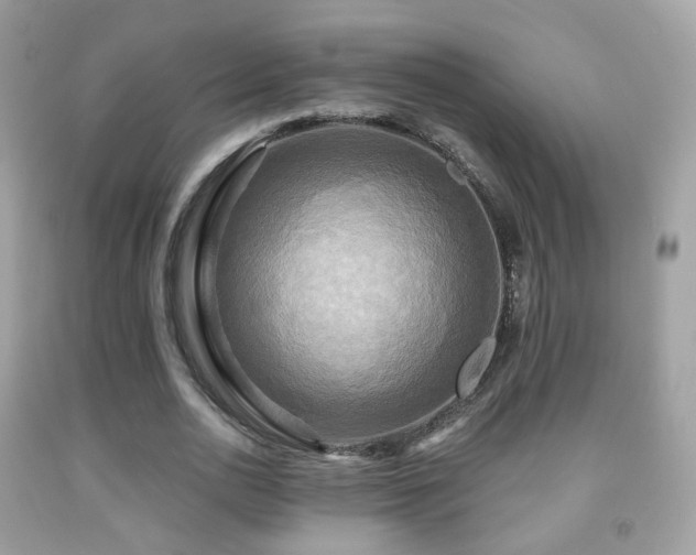 X0000091950726200709061239