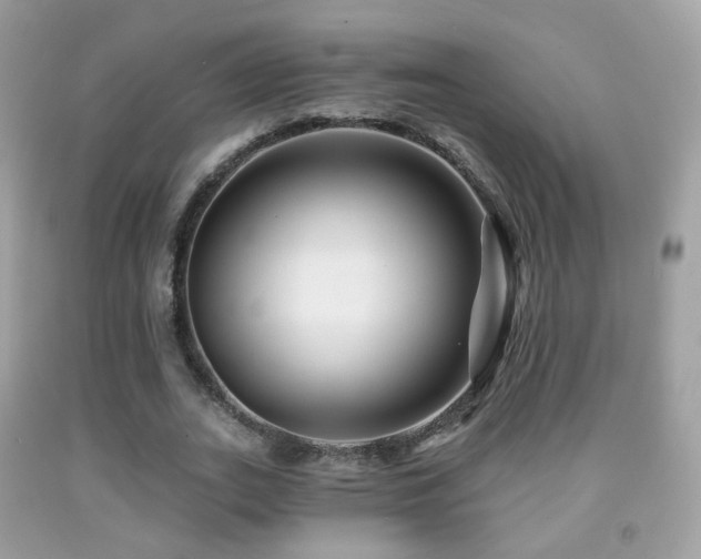 X0000091950727200709061239