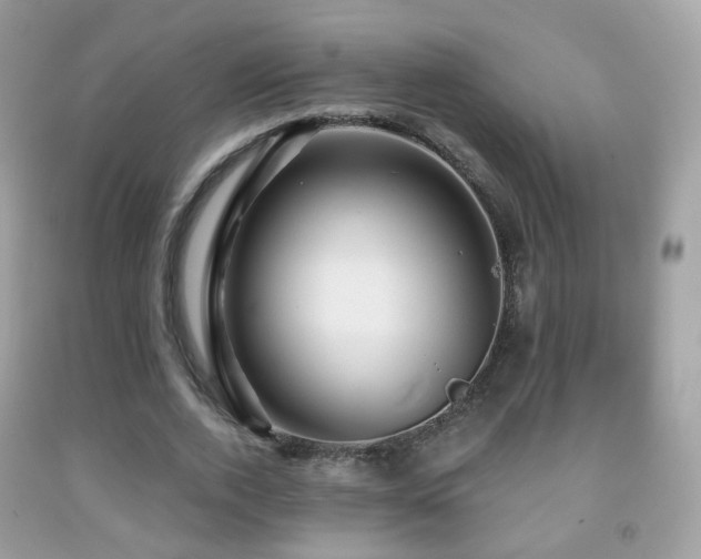 X0000091950728200709061239