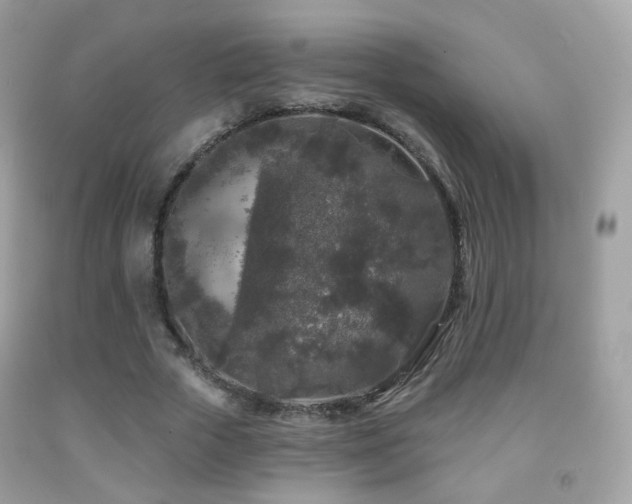 X0000091950729200709061239