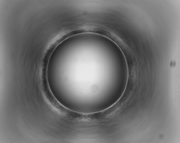 X0000091950730200709061239