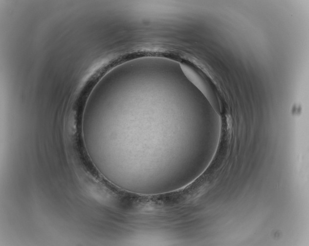 X0000091950731200709061239