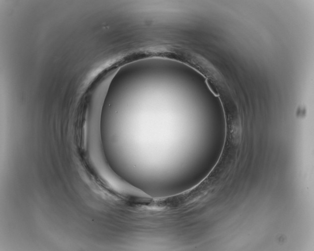 X0000091950732200709061239
