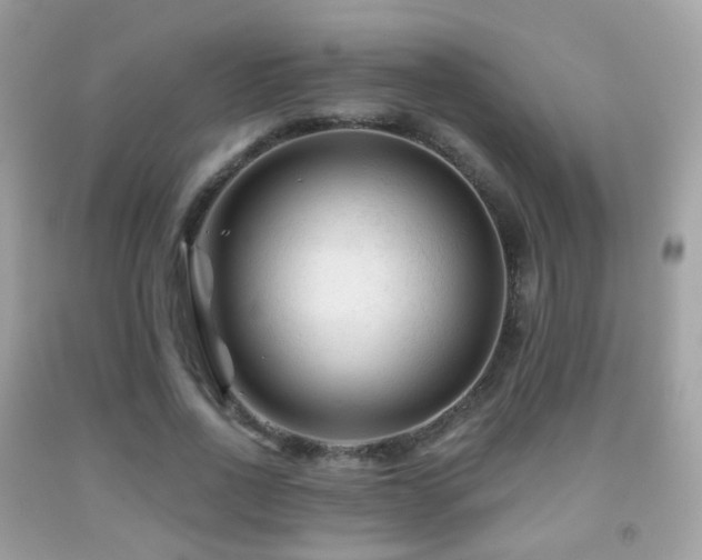 X0000091950734200709061239