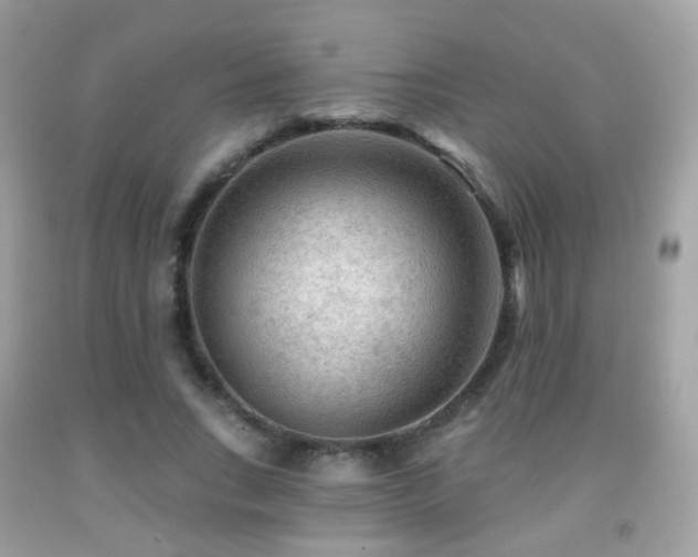 X0000091950735200709061240
