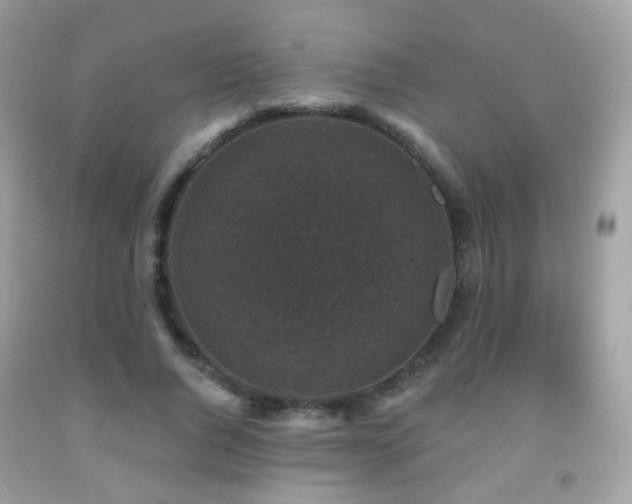 X0000091950736200709061240
