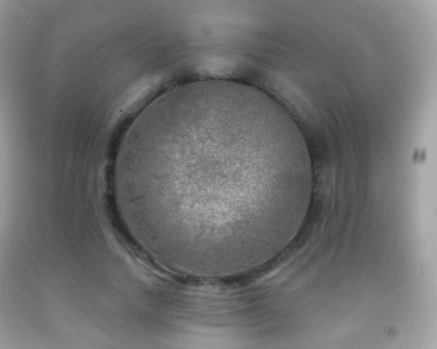 X0000091950738200709061240