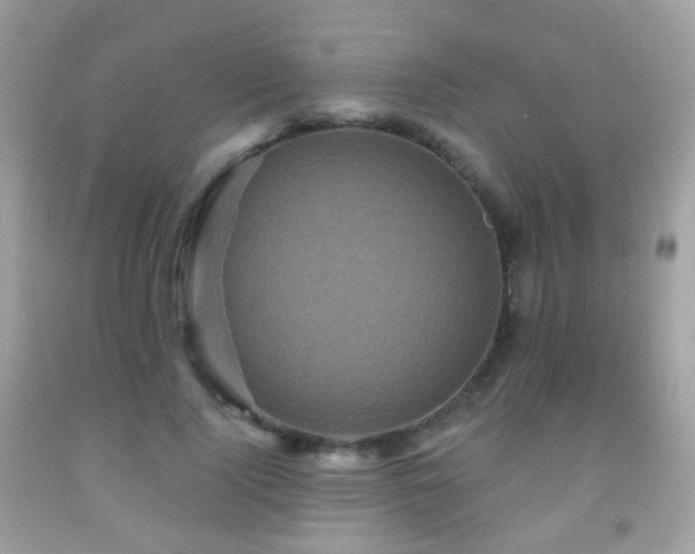 X0000091950740200709061240