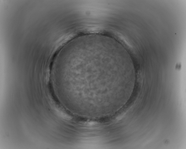 X0000091950741200709061240
