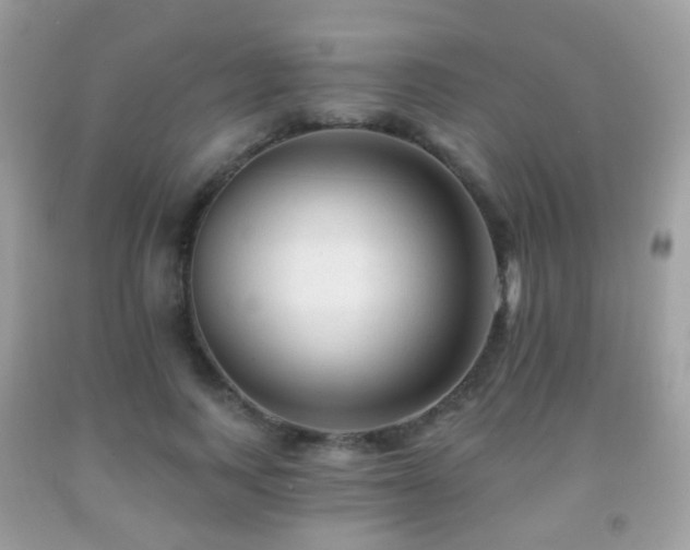X0000091950743200709061240