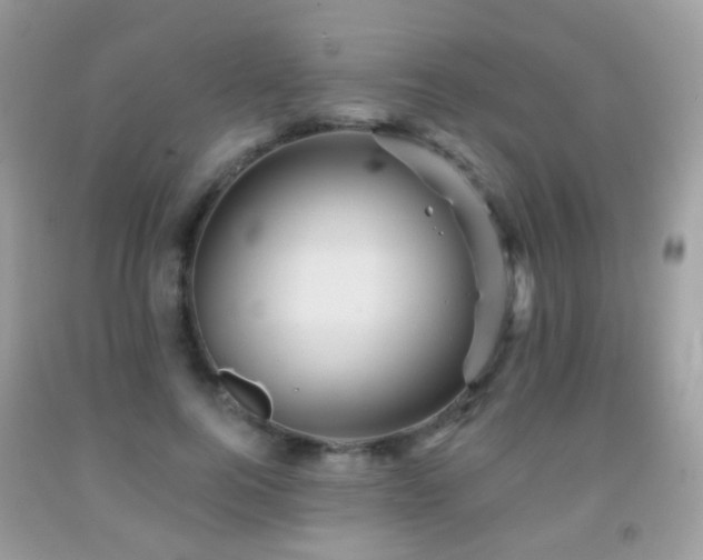 X0000091950744200709061240
