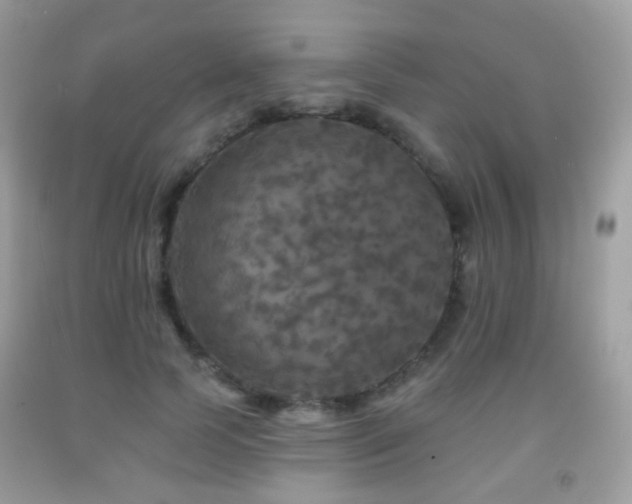 X0000091950745200709061240
