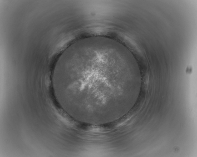 X0000091950746200709061240