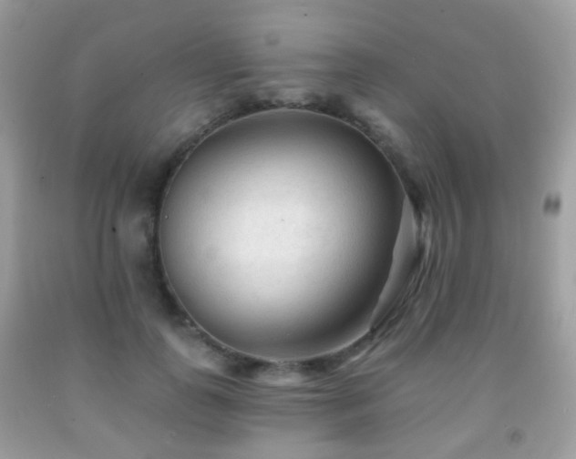 X0000091950747200709061240