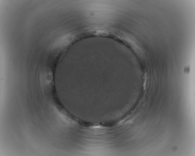 X0000091950748200709061240