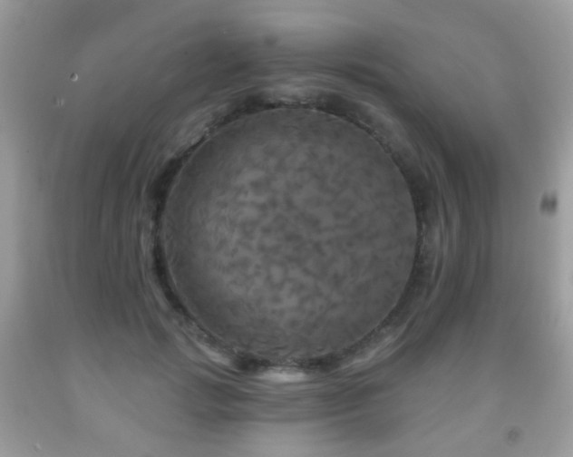 X0000091950749200709061240