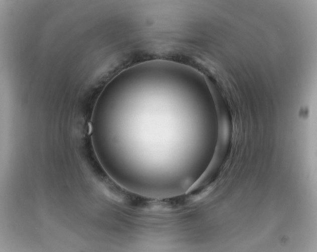 X0000091950750200709061240