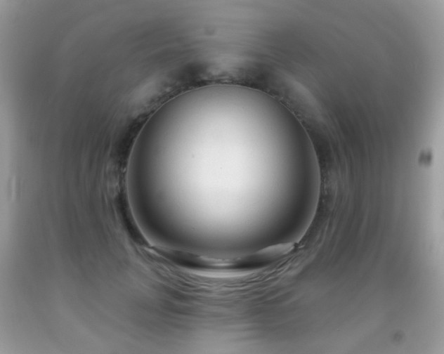X0000091950751200709061240