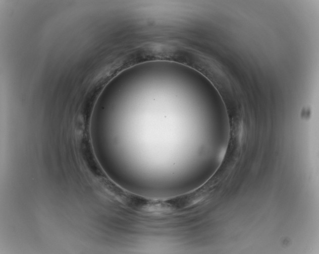X0000091950752200709061240