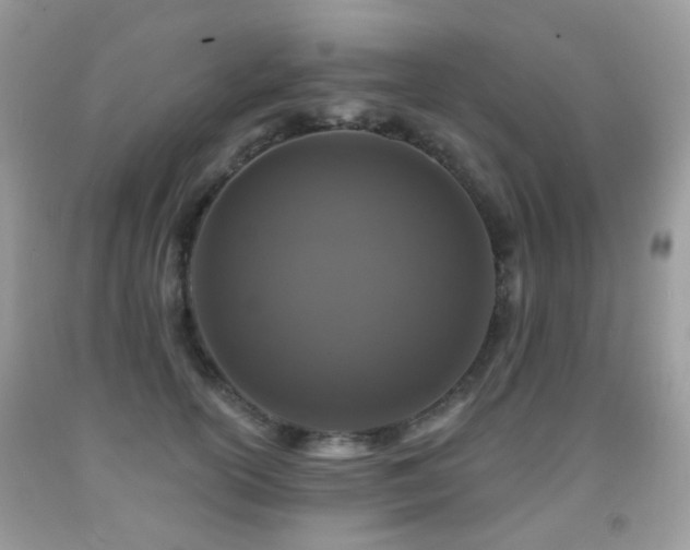 X0000091950754200709061240