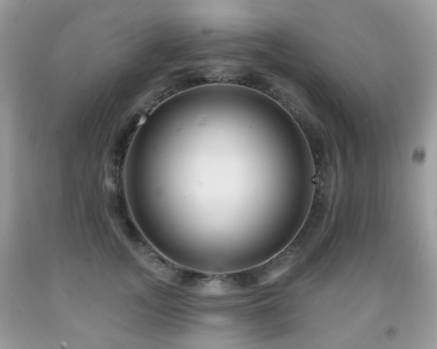 X0000091950755200709061240