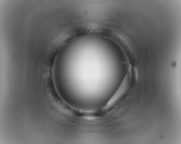 X0000091950756200709061240