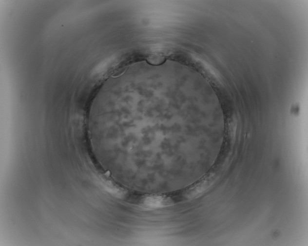 X0000091950757200709061240