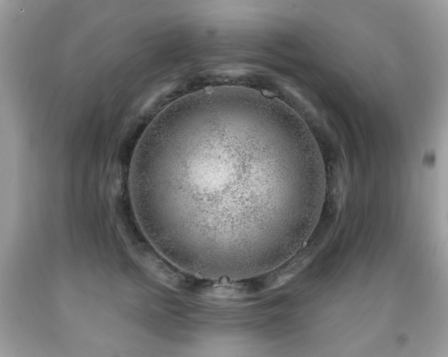 X0000091950758200709061240