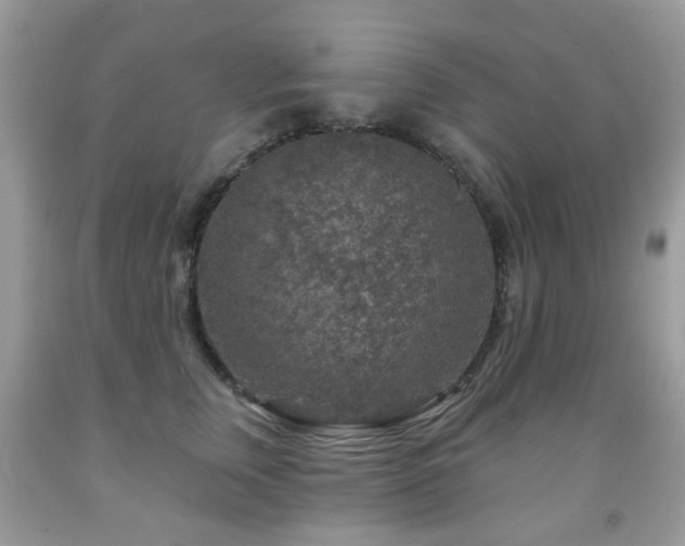 X0000091950759200709061240