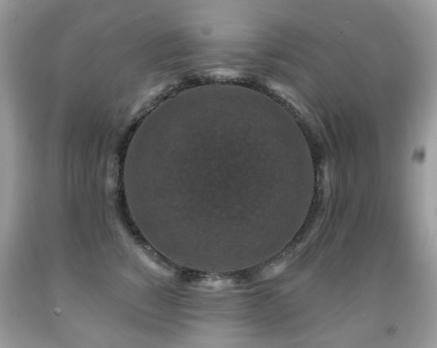 X0000091950760200709061240