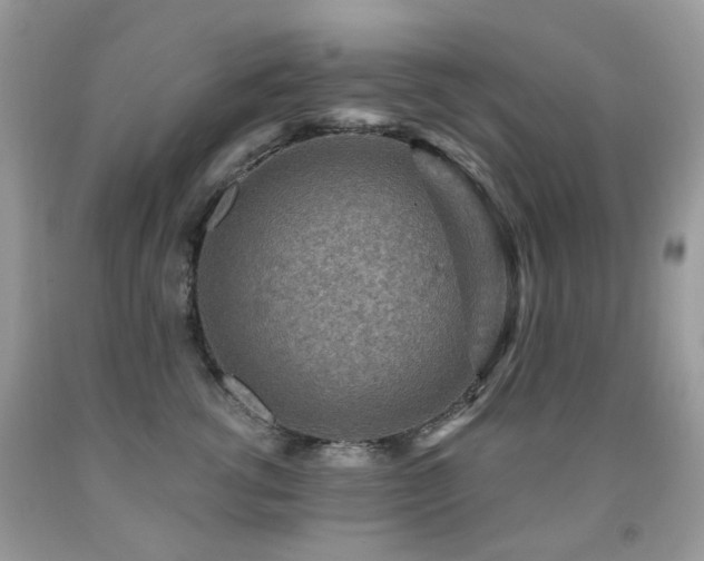 X0000091950762200709061240