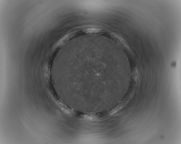 X0000091950763200709061240