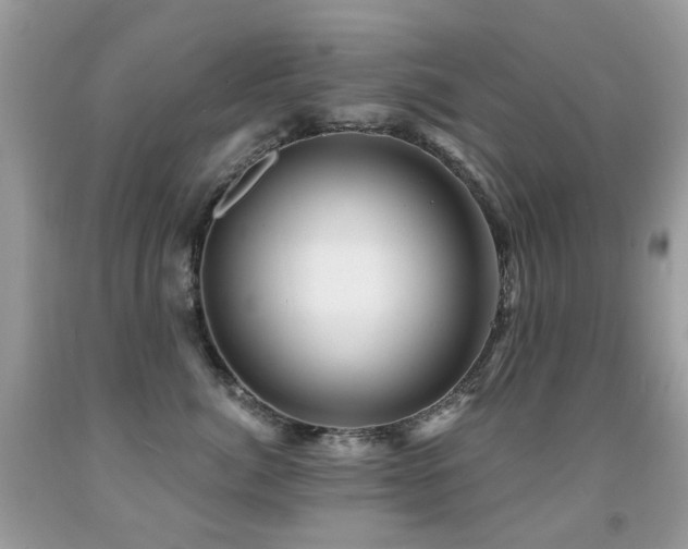 X0000091950764200709061240