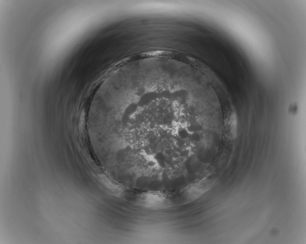 X0000091950765200709061240