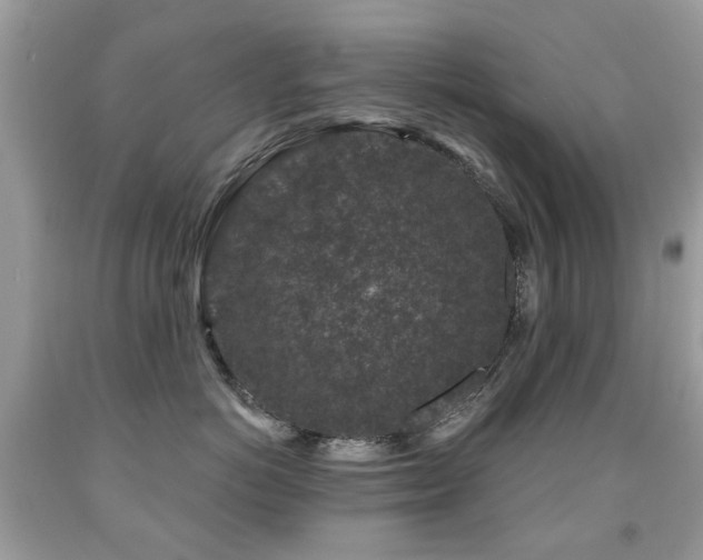 X0000091950766200709061240