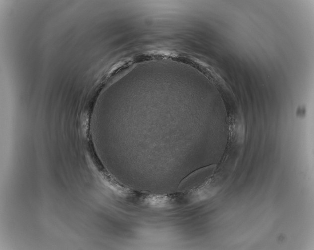 X0000091950767200709061240