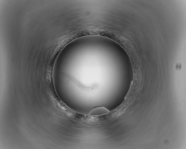 X0000091950768200709061240