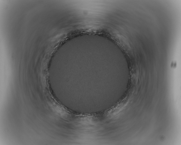 X0000091950769200709061239