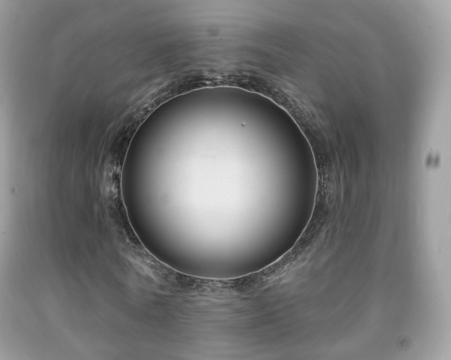 X0000091950770200709061239