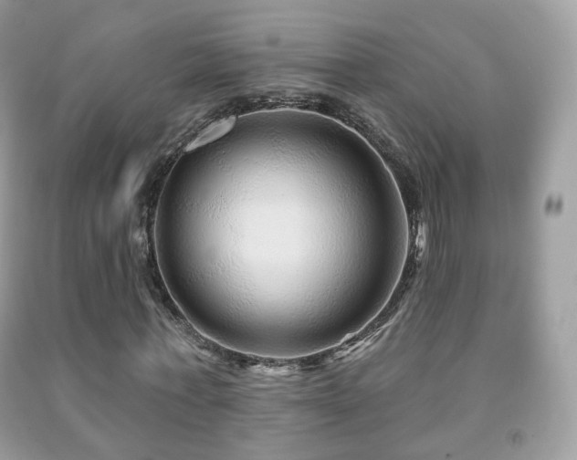 X0000091950771200709061239