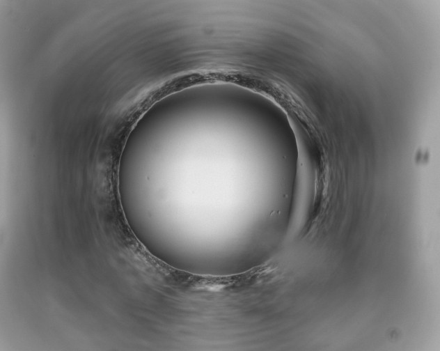 X0000091950773200709061239